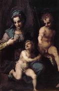 Andrea del Sarto The Virgin and Child with St. John childhood Sweden oil painting artist